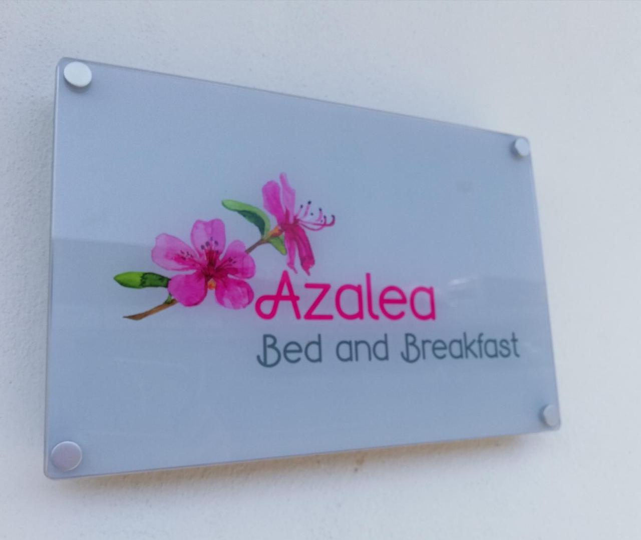 Azalea B&B 那不勒斯 外观 照片